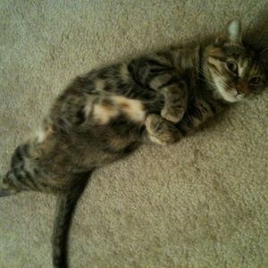 Meet your Posher, Shelly